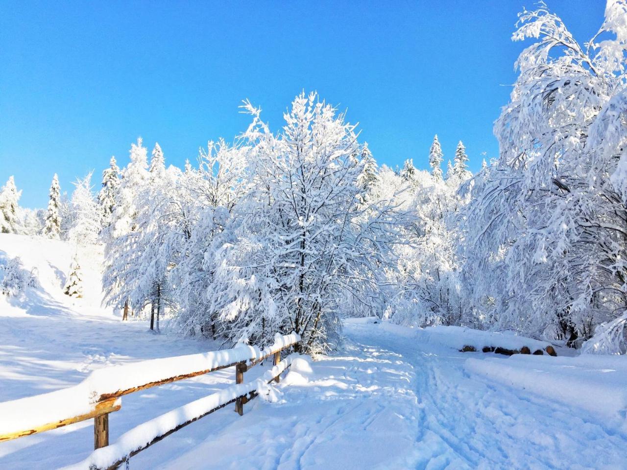 Na Kosnych Lägenhet Poronin Exteriör bild