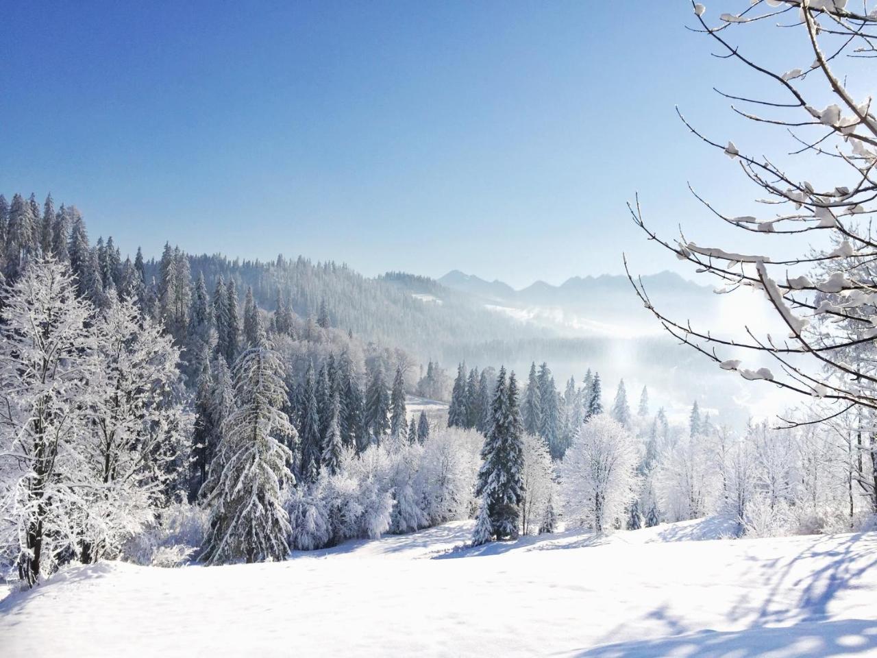Na Kosnych Lägenhet Poronin Exteriör bild